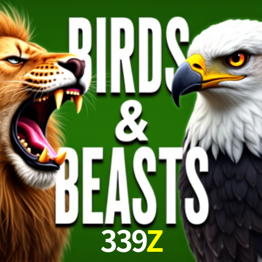 339Z.Com