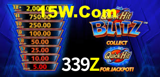 339Z.Com