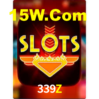 339Z App Interface