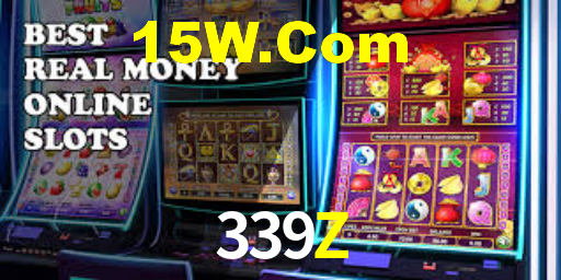 339Z.Com